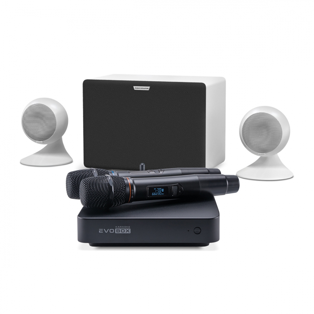 караоке-комплект EVOBOX Classic + EvoSound Sphere 2.1 в Ликино-Дулево
