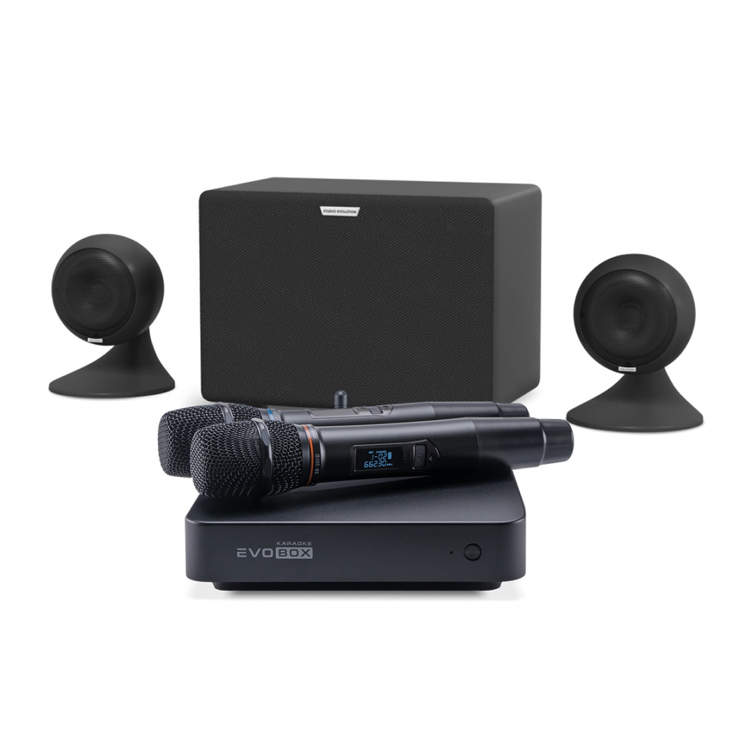 караоке-комплект EVOBOX Plus + EvoSound Sphere 2.1 в Ликино-Дулево