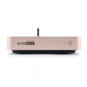 EVOBOX Plus караоке-система для дома в Ликино-Дулево