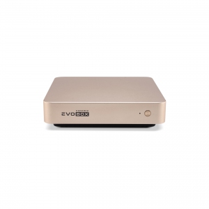 EVOBOX с микрофонами в Ликино-Дулево